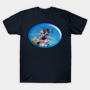 Triggerfish On A Coral | Red Sea Dive | T-Shirt